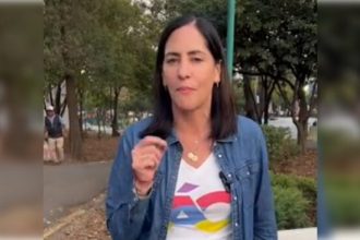 La alcaldesa de Álvaro Obregón, Lía Limón, denunció públicamente que un grupo de golpeadores enviados por el partido Morena agredieron a niñas y niños durante un evento de la Alcaldía en que celebraban por el Día de Reyes.