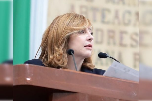 Mientras no haya nuevo reglamento, nos cuenta la diputada Gaby Salido, del PAN, se seguirá aplicando la Ley de Publicidad Exterior del Distrito Federal, que es bastante más blanda.