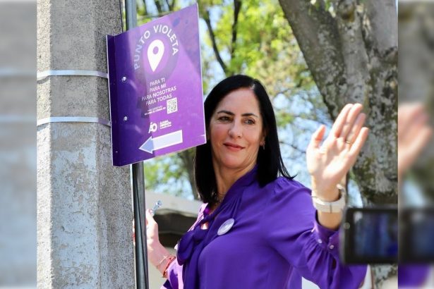 Otra vez Lía Limón, alcaldesa de Álvaro Obregón, la tercera Demarcación más poblada de la capital, levantó ámpulas en la dirigencia de Morena en la CDXM, que encabeza Sebastián Ramírez.