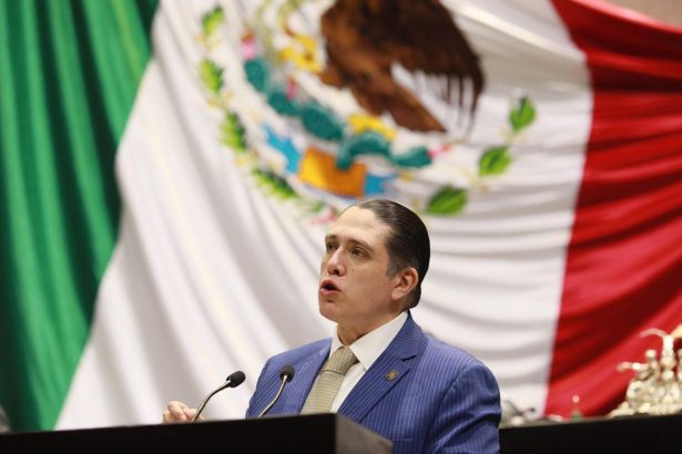 “Es infame que las autoridades quieran deslindarse del deceso de la menor y pongan en riesgo a millones de personas pagando con el dinero de todos los mexicanos, sumas millonarias a empresas que evidentemente son incapaces de brindar un servicio de calidad", sostiene el diputado federal Luis Mendoza