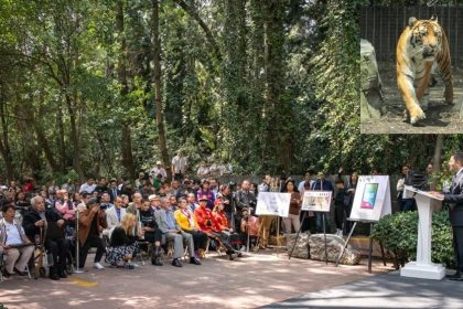 Durante la ceremonia por el centenario del Zoológico Chapultepec, el jefe de Gobierno de la Ciudad de México Martí Batres aseveró que ese espacio del pueblo es un centro de conservación de la vida silvestre y encabezó la develación de una placa y una escultura conmemorativa.