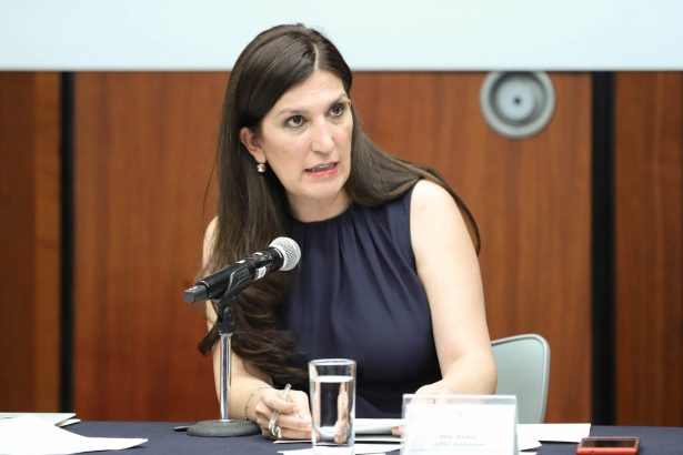 Al destaparse como aspirante a la candidatura de oposición para la Jefatura de Gobierno de la Ciudad de México, la senadora del PAN Kenia López Rabadán dejó en claro que su partido definirá las reglas para elegir a quien sea el abanderado del Frente Amplio.