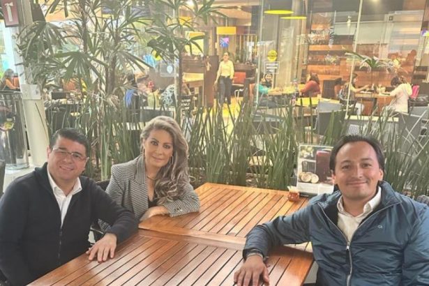 Como un valde de agua debió haberle caído al alcalde de Cuajimalpa, el priísta Adrián Rubalcava –al parecer el destinatario–, el acuerdo de los tres partidos que conforman el Frente Amplio por México (PAN, PRI y PRD), de que se van a ajustar a los tiempos legales marcados por el IECM. FOTO: X / Nora Arias, presidenta PRD CDMX