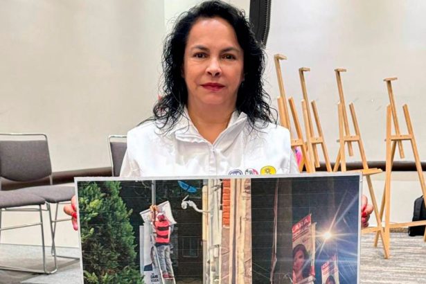Margarita Saldaña Hernández, candidata a la reelección por la Alcaldía Azcapotzalco, de la alianza PAN-PRI-PRD, denunció este jueves la aparición de falsa propaganda electoral, así como los constantes actos vandálicos que han sufrido sus promocionales a manos de grupos afiliados a Morena y sus brigadas. FOTO: Especial