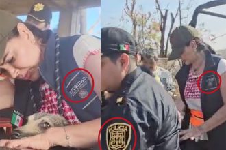 Leticia Varela, candidata a la alcaldía Benito Juárez por la candidatura común “Sigamos haciendo historia” integrada por los partidos Morena, PT y PVEM usó indebidamente la insignia y usurpó funciones de la Secretaría de Seguridad y Protección Ciudadana (SSPC), mintió a los ciudadanos a nivel nacional. IMÁGENES: Especial