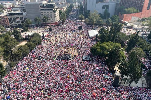 Ya más asimilado el resultado electoral del 2 de junio en la CDMX, quedan claras dos cosas. La primera: se confirma que Movimiento Ciudadano fungió como esquirol de Morena, y sólo participó para quitarle votos a la oposición. FOTO: X / @linda_dimitrova