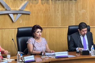 A pesar de haber llevado este fin de semana al descrédito y la ignominia al Instituto Electoral de la Ciudad de México (IECM), su presidenta, Patricia Avendaño le falló a Morena y a Claudia Sheinbaum, quien la puso en ese cargo en una negociación con Lorenzo Córdova, en 2022. FOTO: Especial