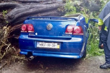 Cae árbol sobre auto en colonia Nápoles; mujer muere y su bebé sobrevive.