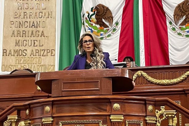 La coordinadora del PRD en el Congreso de la Ciudad de México, Nora Arias exhortó a la Secretaría de Salud de la capital a realizar la campaña de vacunación contra el Virus del Papiloma Humano (VPH) a los estudiantes de escuelas públicas. FOTO: Especial