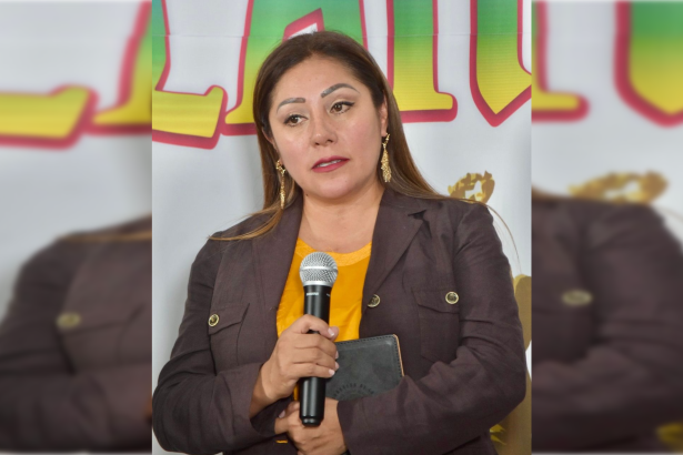 La propiedad privada en la Ciudad de México está totalmente garantizada, como lo establecen la Constitución Política Federal y la Carta Magna capitalina, por lo que es una mentira más de la bancada del PAN en el Congreso local que se pretenda expropiar y despojar de sus inmuebles a la gente, aseveró la diputada Xóchitl Bravo Espinosa.