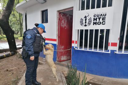 “Abandonar a un animal no solo es cruel, es un delito”, acusa Rojo de la Vega.