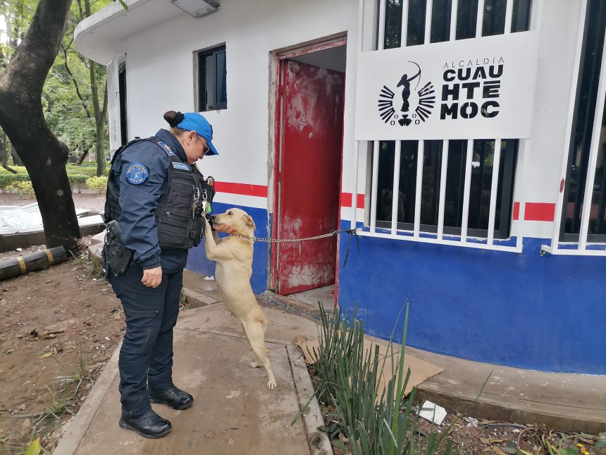 “Abandonar a un animal no solo es cruel, es un delito”, acusa Rojo de la Vega.