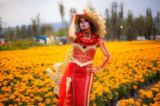 CDMX celebrará el Día de Muertos con 500 actividades