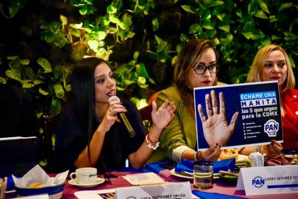 La presidenta del PAN en la Ciudad de México, Luisa Gutiérrez dijo que priorizarán, las causas ciudadanas y no las alianzas con otros partidos políticos. FOTO: Especial