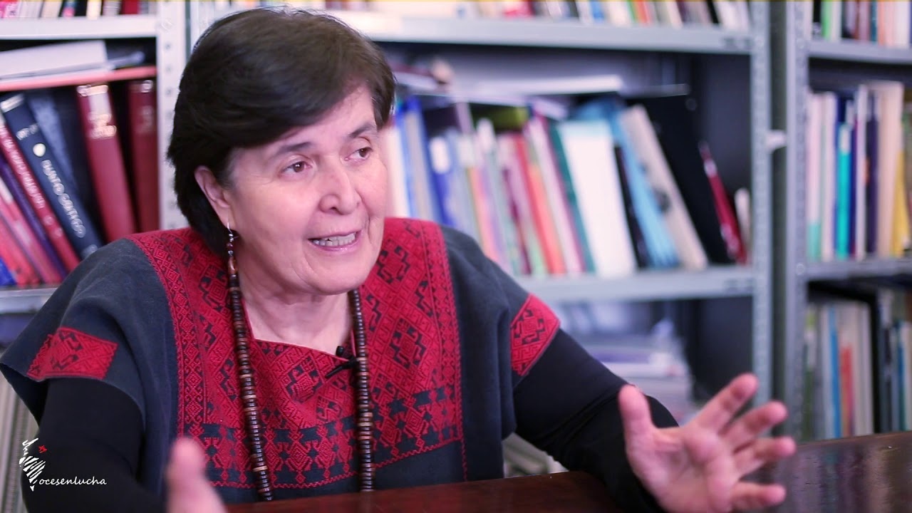 La Comisión de Derechos Humanos del Congreso CDMX circuló un anteproyecto de dictamen en el que designa a María Dolores González Saravia Calderón como presidenta de la Comisión de Derechos Humanos de la Ciudad de México, el cual será votado este lunes en sesión de ese grupo de trabajo. FOTO: Youtube "Vocesenlucha"